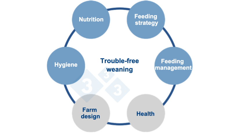 Figure 1. A multifactorial approach to zinc-free feeding. Source: Vilomix.